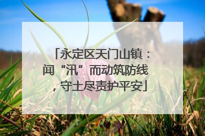 永定区天门山镇：闻“汛”而动筑防线，守土尽责护平安