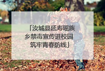 汝城县延寿瑶族乡禁毒宣传进校园 筑牢青春防线