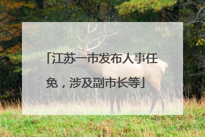 江苏一市发布人事任免，涉及副市长等