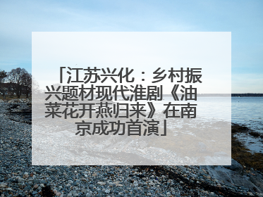 江苏兴化：乡村振兴题材现代淮剧《油菜花开燕归来》在南京成功首演