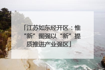 江苏如东经开区：惟“新”图强以“新”提质推进产业强区