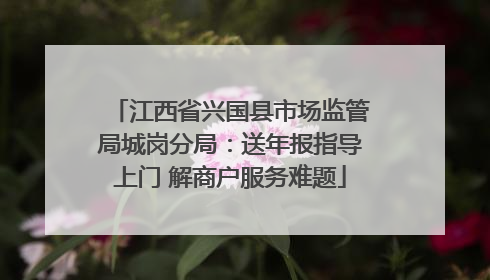 江西省兴国县市场监管局城岗分局：送年报指导上门 解商户服务难题