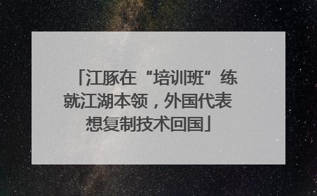 江豚在“培训班”练就江湖本领，外国代表想复制技术回国