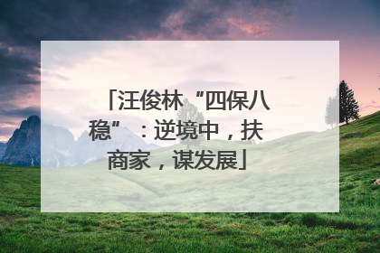汪俊林“四保八稳”：逆境中，扶商家，谋发展