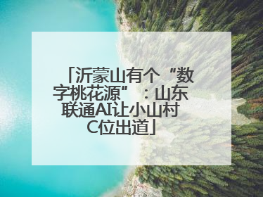 沂蒙山有个“数字桃花源”：山东联通AI让小山村C位出道