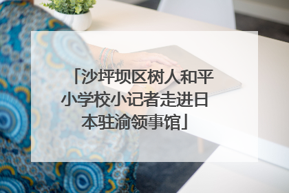 沙坪坝区树人和平小学校小记者走进日本驻渝领事馆