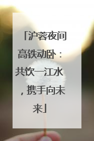沪蓉夜间高铁动卧：共饮一江水，携手向未来