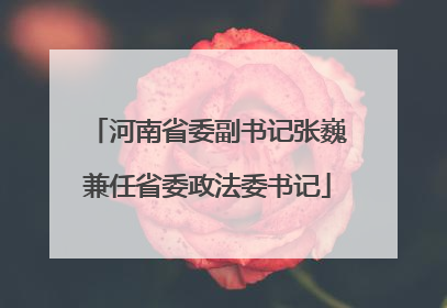 河南省委副书记张巍兼任省委政法委书记