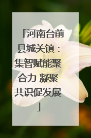 河南台前县城关镇：集智赋能聚合力 凝聚共识促发展