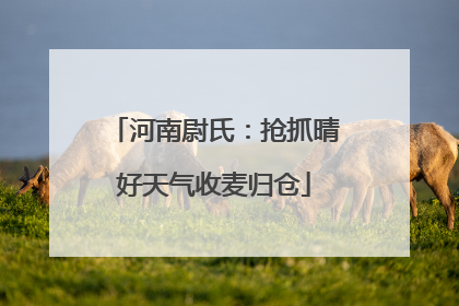 河南尉氏：抢抓晴好天气收麦归仓