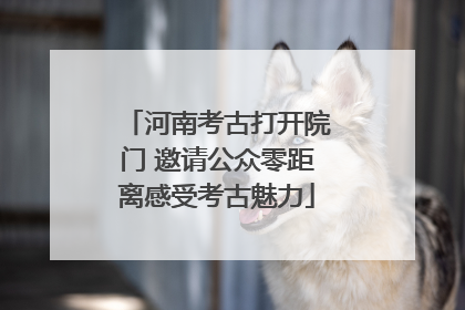 河南考古打开院门 邀请公众零距离感受考古魅力