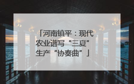 河南镇平：现代农业谱写“三夏”生产“协奏曲”