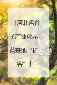 河北省谷子产业化示范基地“扩容”