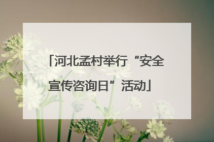 河北孟村举行“安全宣传咨询日”活动