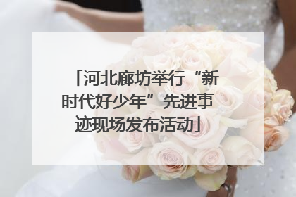 河北廊坊举行“新时代好少年”先进事迹现场发布活动