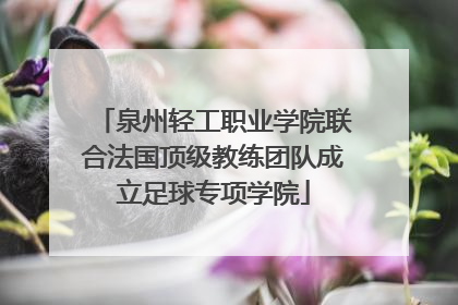 泉州轻工职业学院联合法国顶级教练团队成立足球专项学院