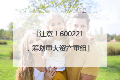 注意！600221，筹划重大资产重组