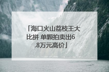 海口火山荔枝王大比拼 单颗拍卖出6.8万元高价