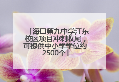 海口第九中学江东校区项目冲刺收尾，可提供中小学学位约2500个