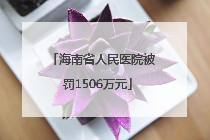 海南省人民医院被罚1506万元