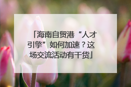 海南自贸港“人才引擎”如何加速？这场交流活动有干货