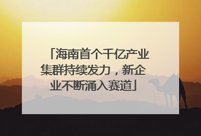 海南首个千亿产业集群持续发力，新企业不断涌入赛道