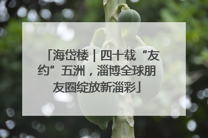 海岱楼｜四十载“友约”五洲，淄博全球朋友圈绽放新淄彩
