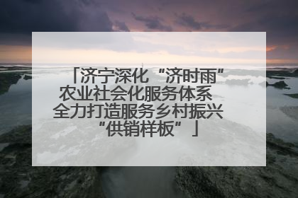 济宁深化“济时雨”农业社会化服务体系 全力打造服务乡村振兴“供销样板”