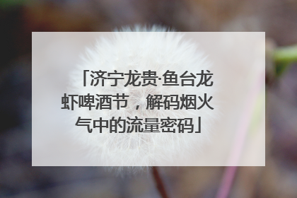 济宁龙贵·鱼台龙虾啤酒节，解码烟火气中的流量密码