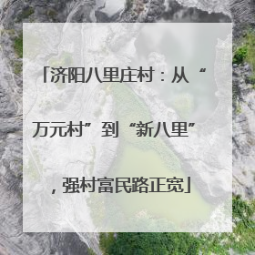 济阳八里庄村：从“万元村”到“新八里”，强村富民路正宽