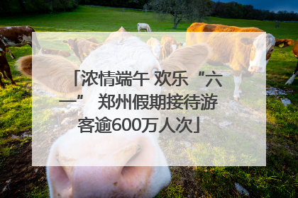 浓情端午 欢乐“六一” 郑州假期接待游客逾600万人次