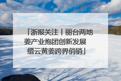浙报关注丨丽台两地姜产业抱团创新发展 缙云黄姜跨界俏销