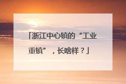 浙江中心镇的“工业重镇”，长啥样？