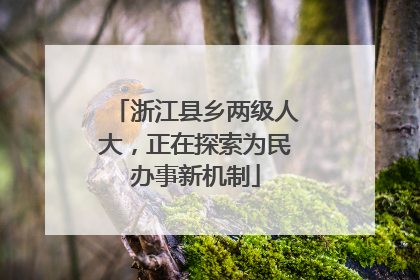 浙江县乡两级人大，正在探索为民办事新机制