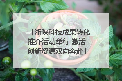 浙陕科技成果转化推介活动举行 激活创新资源双向奔赴