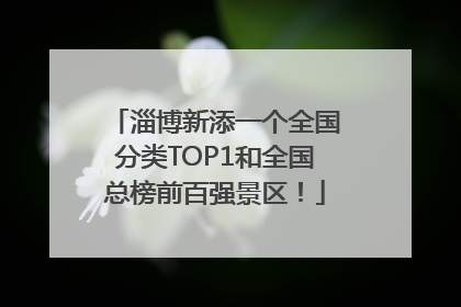 淄博新添一个全国分类TOP1和全国总榜前百强景区！