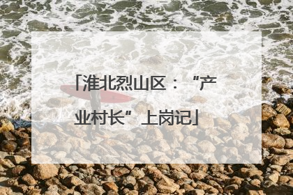 淮北烈山区：“产业村长”上岗记