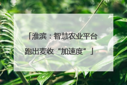 淮滨：智慧农业平台跑出麦收“加速度”