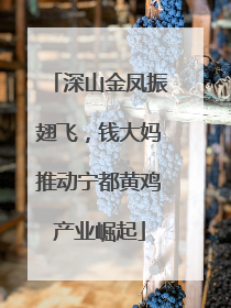 深山金凤振翅飞，钱大妈推动宁都黄鸡产业崛起