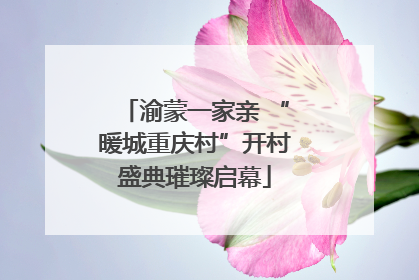 渝蒙一家亲 “暖城重庆村”开村盛典璀璨启幕
