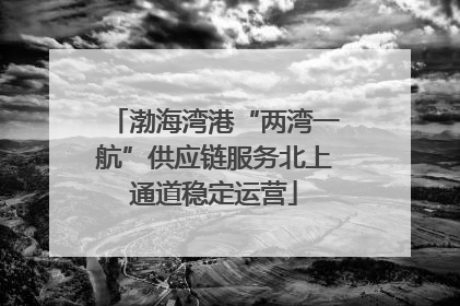 渤海湾港“两湾一航”供应链服务北上通道稳定运营