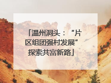 温州洞头：“片区组团强村发展”探索共富新路