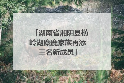 湖南省湘阴县横岭湖麋鹿家族再添三名新成员