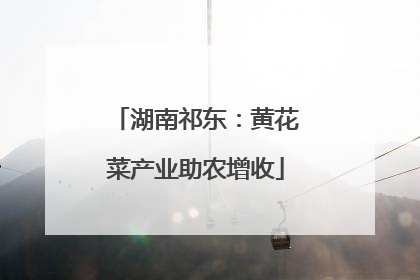 湖南祁东：黄花菜产业助农增收