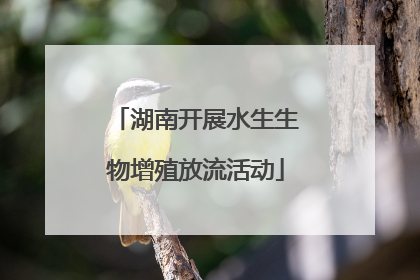 湖南开展水生生物增殖放流活动