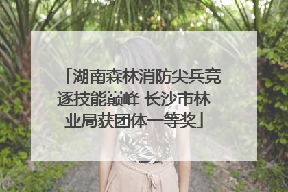 湖南森林消防尖兵竞逐技能巅峰 长沙市林业局获团体一等奖