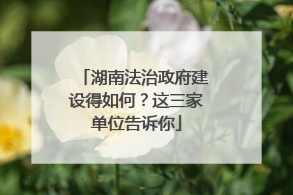 湖南法治政府建设得如何？这三家单位告诉你