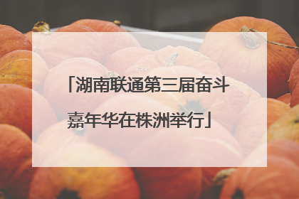 湖南联通第三届奋斗嘉年华在株洲举行