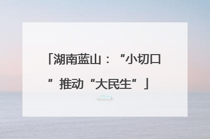 湖南蓝山：“小切口”推动“大民生”