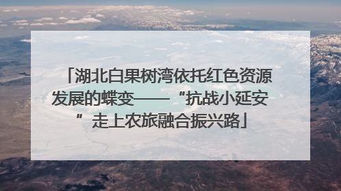 湖北白果树湾依托红色资源发展的蝶变——“抗战小延安”走上农旅融合振兴路